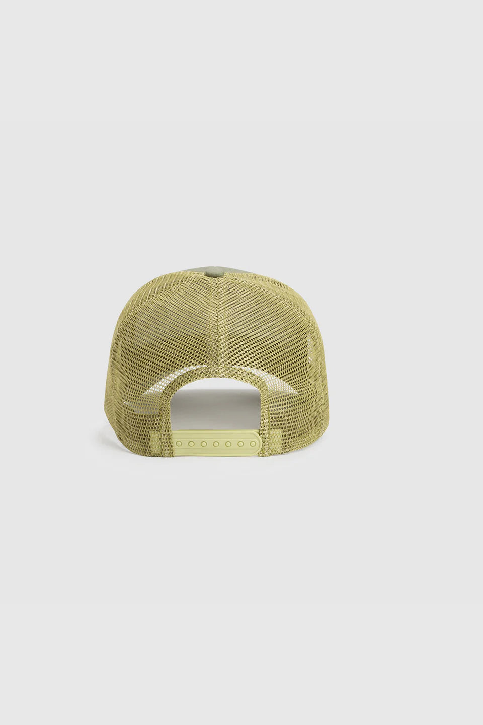 BASIC CT CAP SAGE